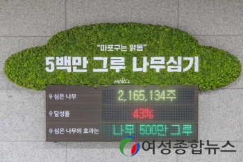 마포구, 시원함 뿜뿜! 나무 500만 그루 심기로 도시 온도 낮춘다 