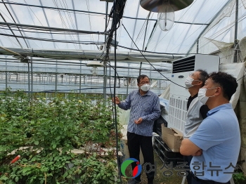 함평군 ‘화훼농가 살리기’…쿨링시설 설치사업 추진