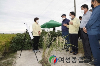 익산시 정헌율시장, 벼 피해 확산방지 긴급현장점검 나서