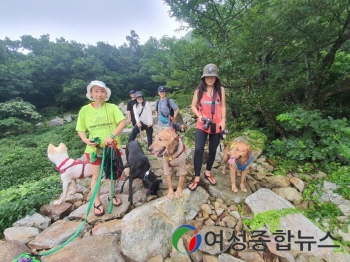 “반려견과 함께 해남으로 생태캠핑 오세요”