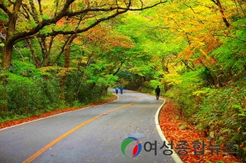 해남미남축제, 눈도 즐겁다“국화와 단풍의 향연”