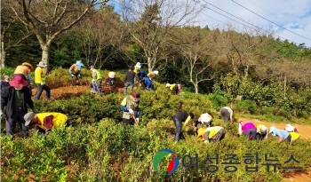 나주 다도면, 나주호 수변공원 철쭉 꽃 단장