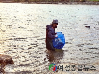 장흥군 탐진강 수산연구센터, 은어 채란 방류