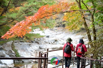 한국관광공사·남원시 지리산 뱀사골‘친환경 여행지’로 선정