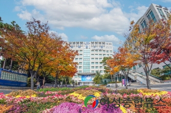 동대문구, 청년 취·창업 역량 강화 위한 새로운 청년 정책 발굴 추진