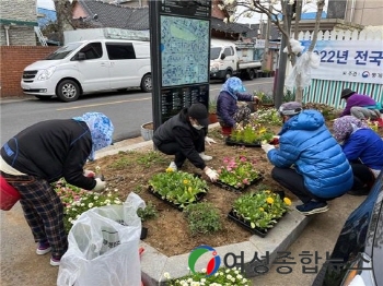 목포시 연동, 산뜻한 연동네 만들기 새봄맞이 봄꽃 식재