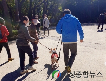 사람과 반려동물이 함께 행복한 관악!   동물과의 공존을 모색한다