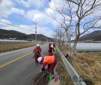 진도군, 국도 18호선 가로수 새단장 정비사업 추진