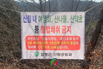 함평군, 봄철 산나물 불법채취 특별단속