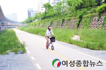 동대문구 더 싱그러워진 정릉천‧성북천에서 힐링해요