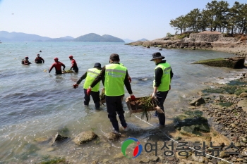 여수해경, 제10회 바다식목일 기념 잘피 심기 행사 펼쳐