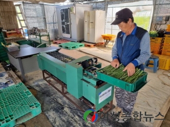 여주시 '신소득작목 아스파라거스 육성' 기반시설 지원