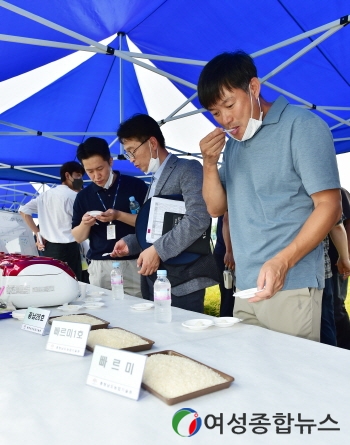 충남 벼 '빠르미’ 밥맛 높이고 도열병 저항성 ...