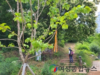 최고다! 이 걷기길, 자연이 빚어낸 시흥 ‘늠내길’