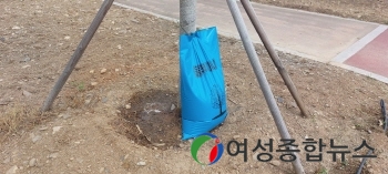 경산시 가로수 및 조경지 수목 물주머니 설치 및 관수 실시