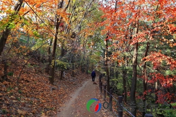 동작구, 안전 산행 함께해요…행복더하기 등산학교 운영