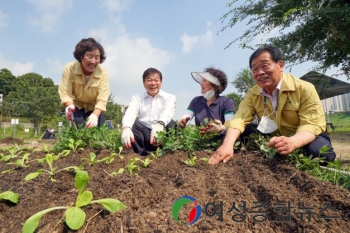 동대문구 도시농업 체험학습장 수확물, 안심하고 드세요