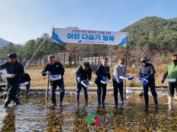 봉화군, 소천면 현동천에 생태하천 복원 위해  ‘다슬기 치패’ 방류