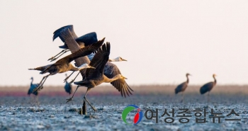 순천시, 제11회 아시아 조류 박람회 개최