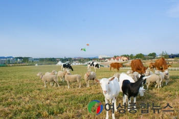 안성팜랜드, 2023-2024 한국관광 100선 선정