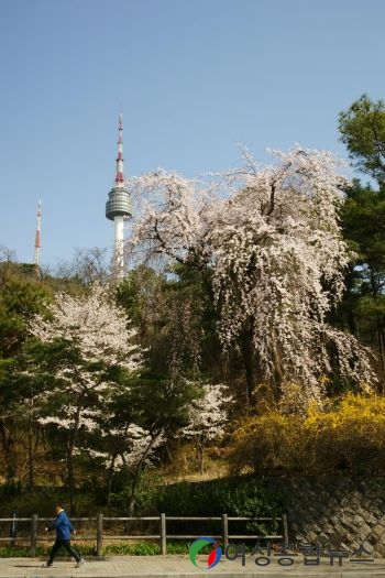 용산구, 신록이 우거지면 소월로에서 만나요