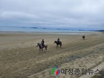 신안군 ‘임자 대광해변 승마 축제’