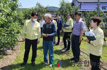 박남서 영주시장, 우박피해 현장 방문 ‘신속한 정밀조사·지원대책 지시’