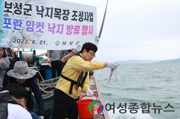 보성군, 낙지 금어기에 포란 암컷 낙지 3,000마리 방류 