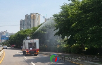 광명시, 러브버그 즉각 방제로 시민 불편 최소화 