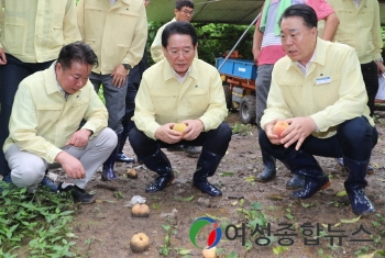 김영록 전남도지사, 집중호우 피해지역 점검 동분서주, 피해 현장 점검 종합 