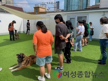 금천구, ‘세대공감 반려동물 진로탐색 프로젝트’ 운영