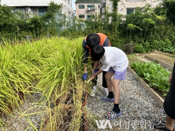 금천구, 학교로 찾아가는 풍성한 가을걷이 체험행사