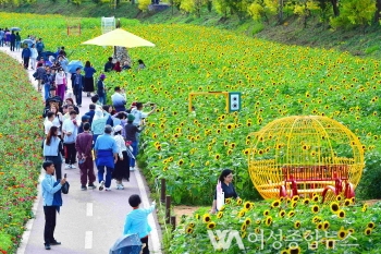 장성군, 22일까지 황룡강 ‘나들이객 맞이’