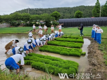 진도군 지산면 ‘민속 문화축제’개최