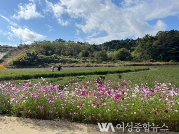 고창군 노동골 꽃정원단지, 가을철 관광객 인기몰이