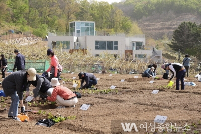 중랑구, 중랑행복농장 텃밭,봉화산자연체험공원 배나무 분양