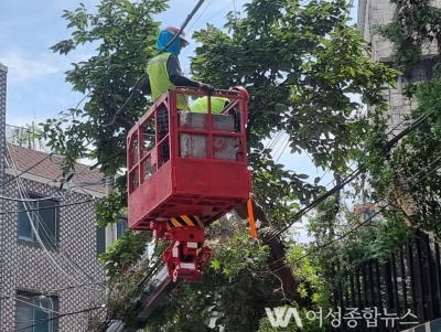 연수구 ‘생활 주변 위험수목 정비지원사업’ 대상 모집