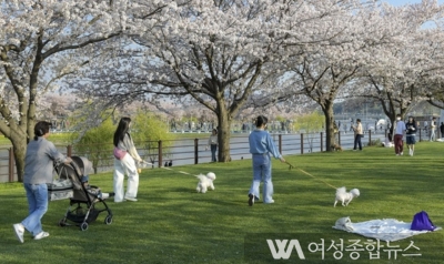 문체부·한국관광공사, 반려동물 친화관광도시 선정 