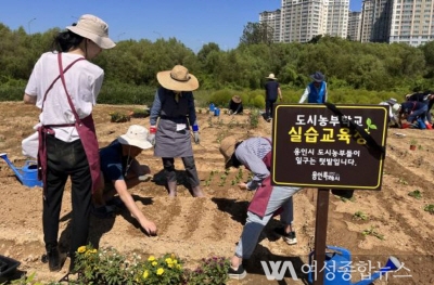 용인특례시, 어린이부터 전문가까지 도시농업 교육생 모집