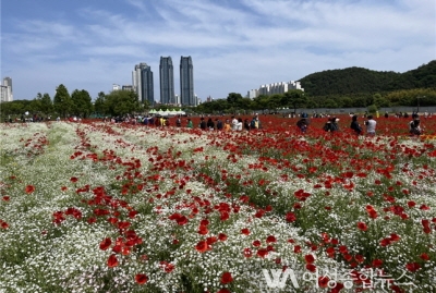 울산시“태화강 국가정원 봄꽃축제 만끽하세요”  