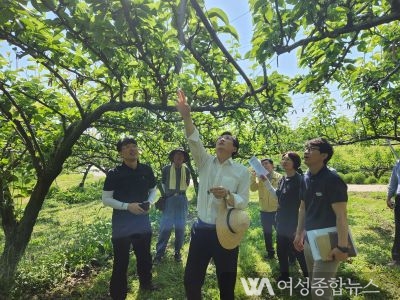 우승희 영암군수, 감·배 재배 농가 방문해 어려움 공유