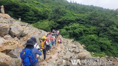 해남군, 6월부터 달마고도&코리아둘레길 워킹데이 운영