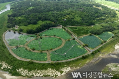 울산시, 회야댐 생태습지 탐방행사 실시  