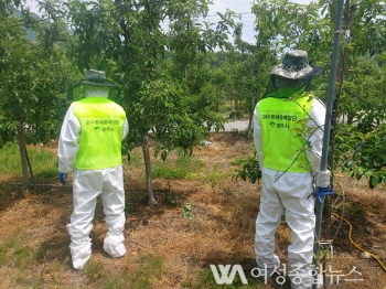 영주시, 장마철에 대비해 과수 화상병 예방 ‘총력’