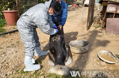 인천시, 도서 지역 축산농가 위해 찾아가는 수의진료 실시