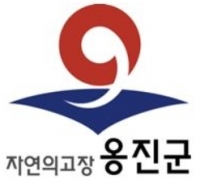 옹진군, 백령항로 대형여객선 도입사업'한솔해운이 사업을 포기' 