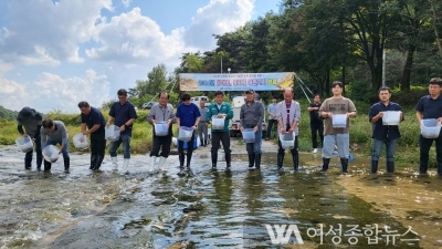 봉화군, 토종 민물고기 복원 잉어류 및 동자개 어린고기 방류