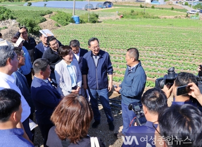 송미령 농림축산식품부 장관 해남 방문 배추 작황 현장점검