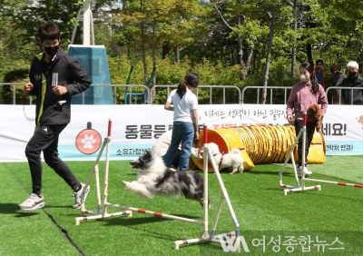 강남구, 반려견 문화 행사 개최