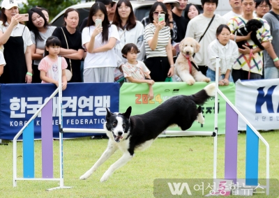 이천펫축제 성황리 종료